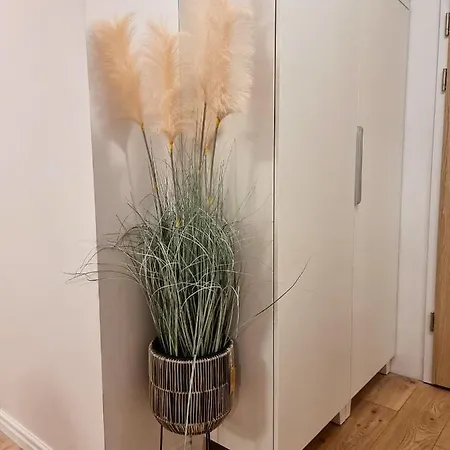 Apartment Lux Amazing View